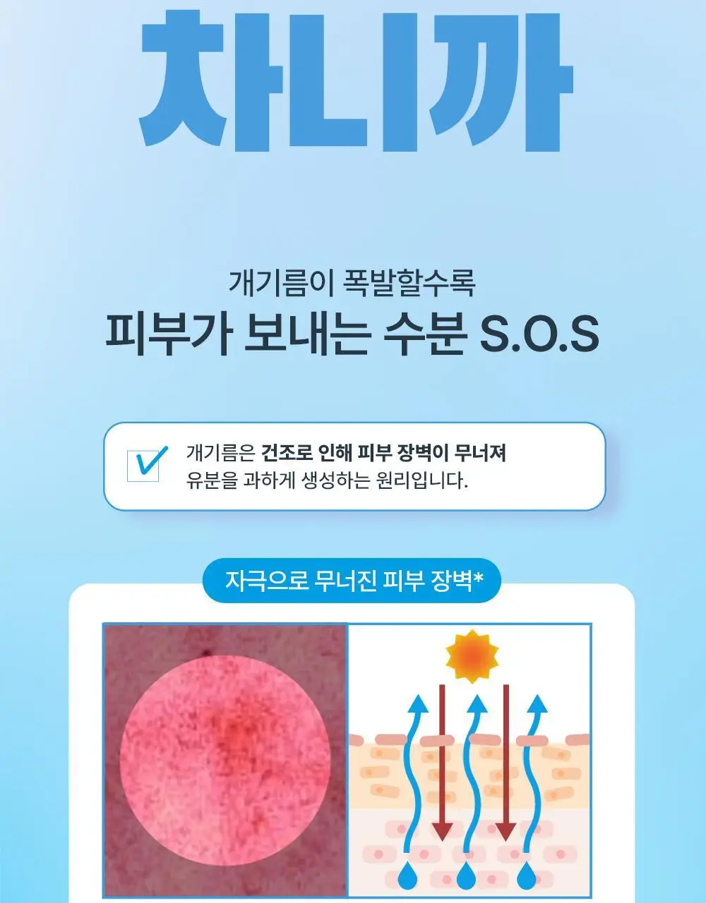 다슈 보이 파란 수분초 스킨/로션 150ml 4종 기획 상세페이지 9