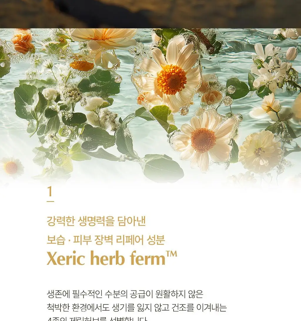 숨37 타임 에너지 모이스트 기초 2종 기획 상세페이지 37