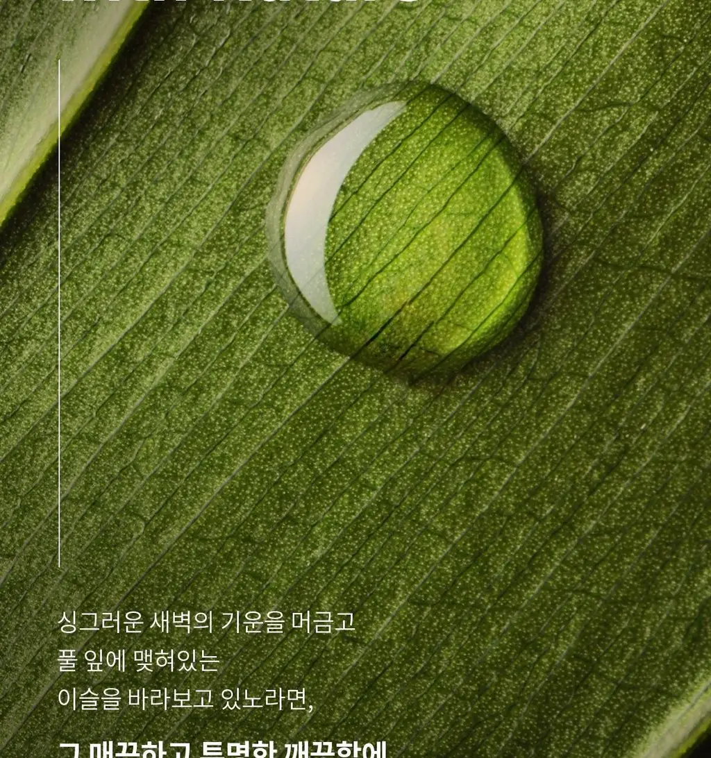 숨37 타임 에너지 브라이트 기초 2종 기획 상세페이지 8