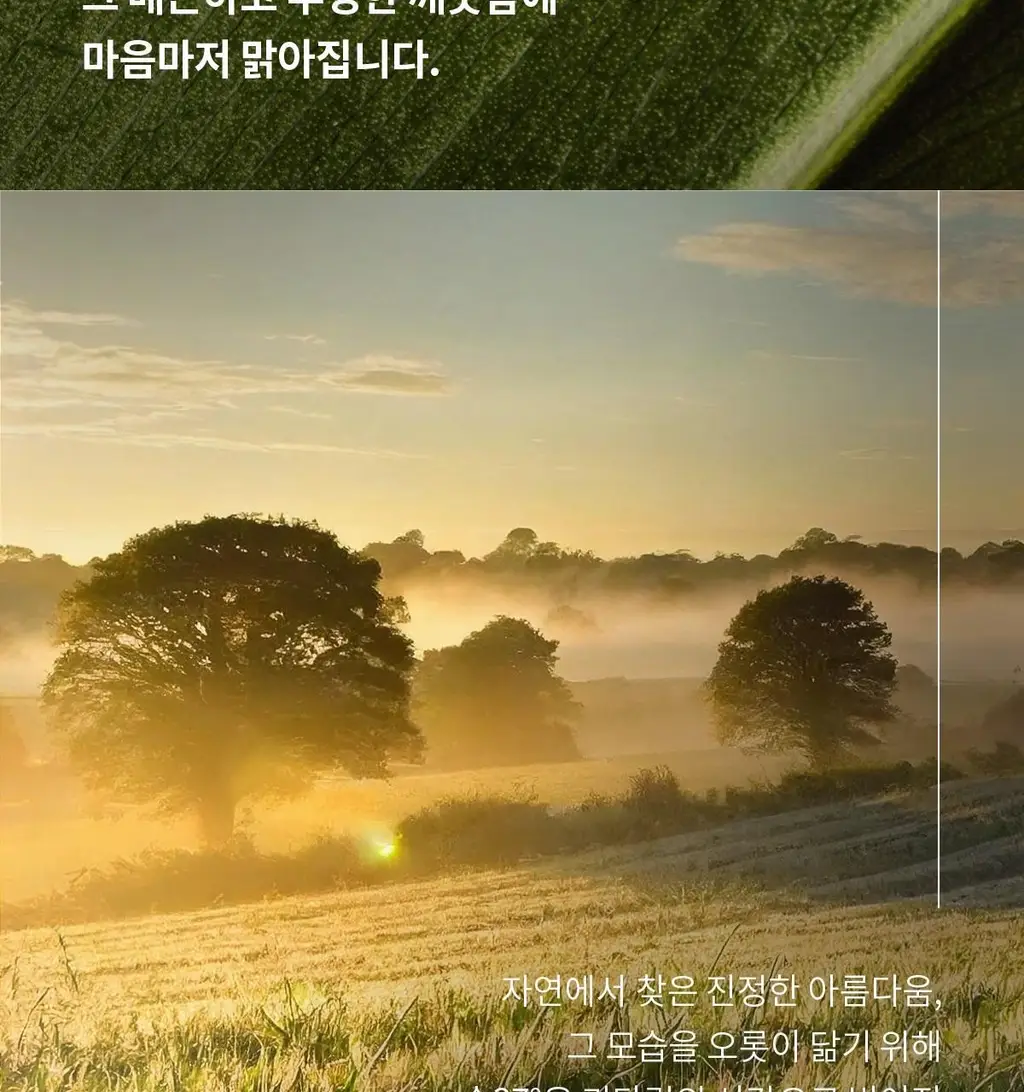 숨37 타임 에너지 브라이트 기초 2종 기획 상세페이지 9