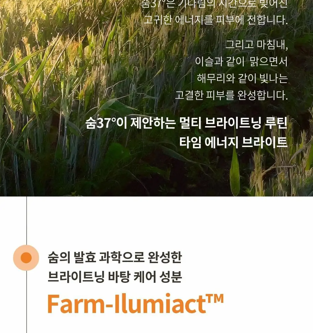 숨37 타임 에너지 브라이트 기초 2종 기획 상세페이지 10