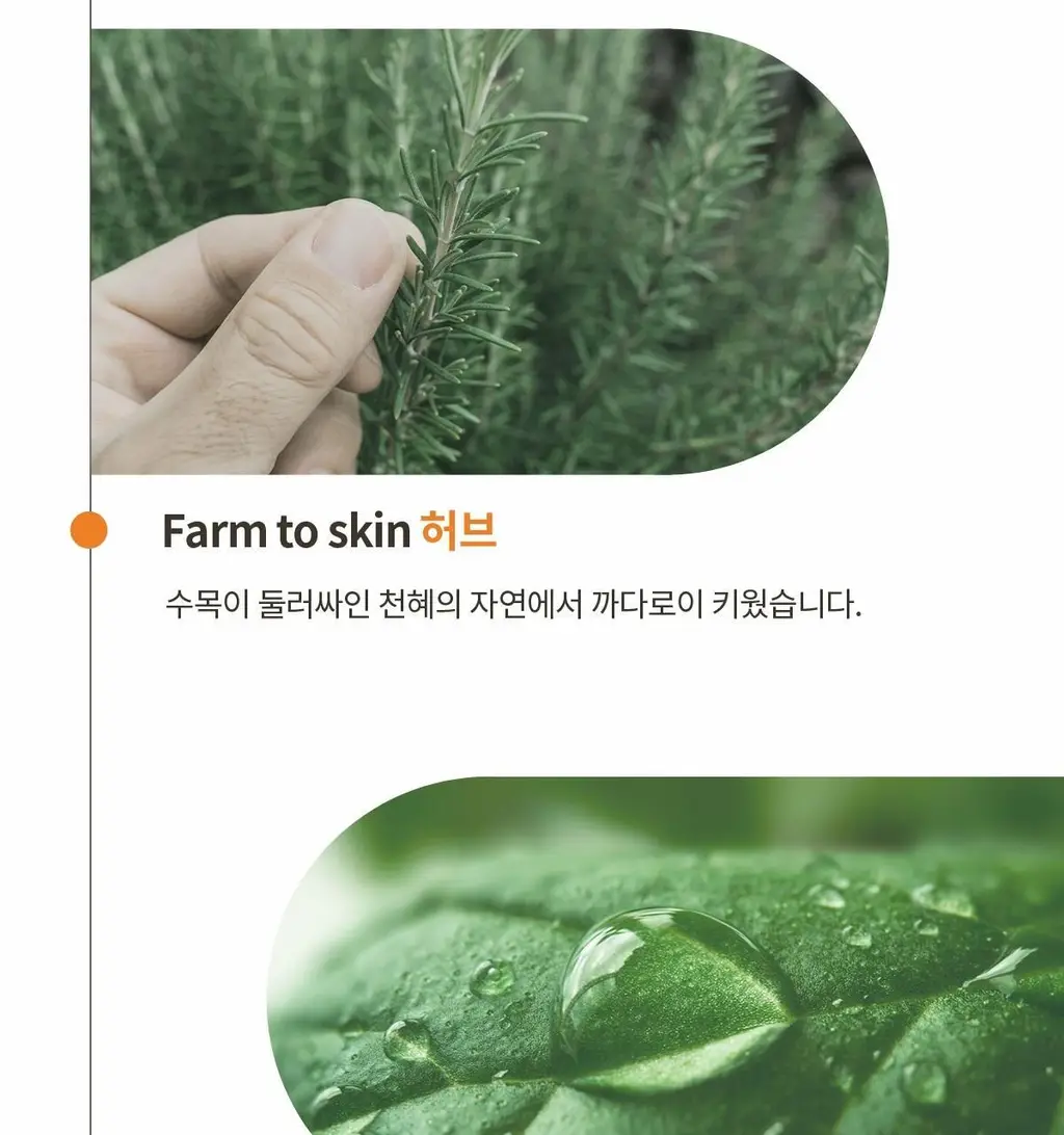 숨37 타임 에너지 브라이트 기초 2종 기획 상세페이지 11