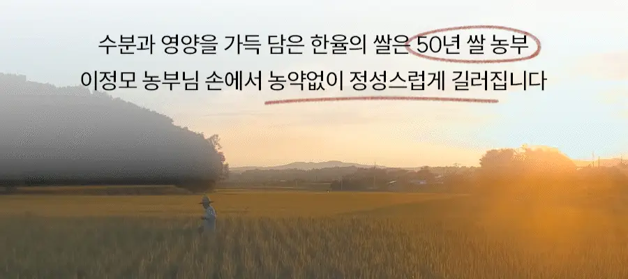 한율 빨간쌀 보습탄력 에센스크림 2종 세트 (에센스 150ml+크림 55ml) 상세페이지 23