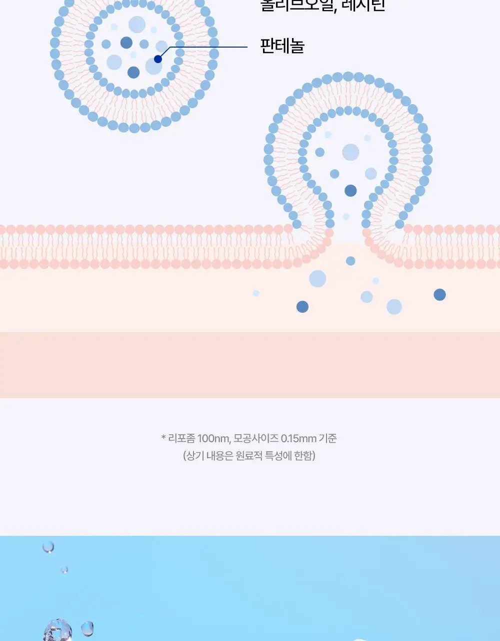 리얼베리어 익스트림 에센스 토너 라이트 300ml 기획 (+라이트 크림 25ml) 상세페이지 6