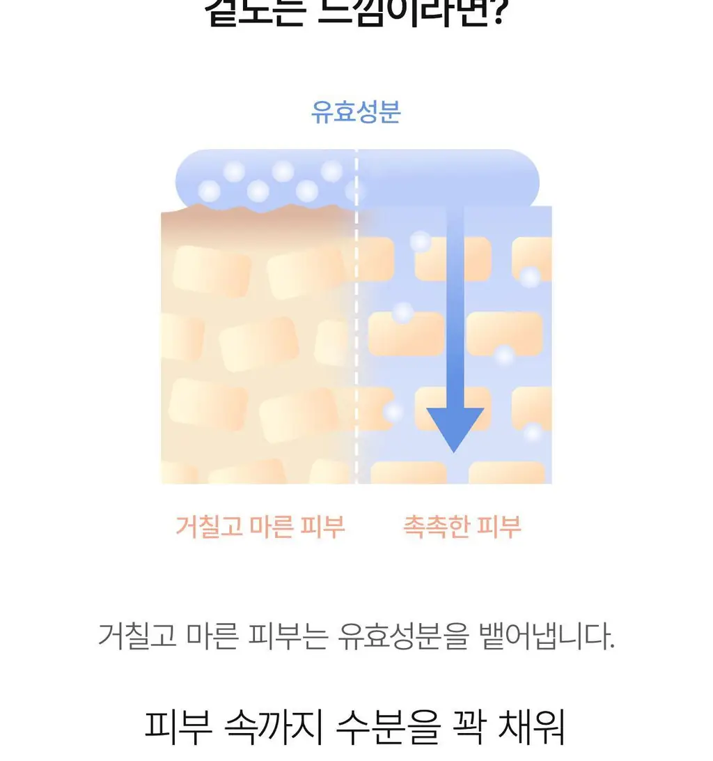 바이오던스 퍼스트 시너지 토너 150ml 상세페이지 3