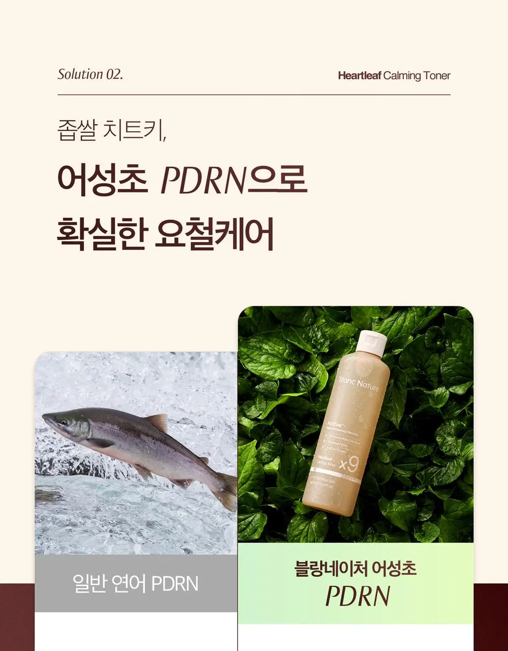 블랑네이처 9배 고농축 어성초 토너 300ml 기획 (+30ml) 상세페이지 21