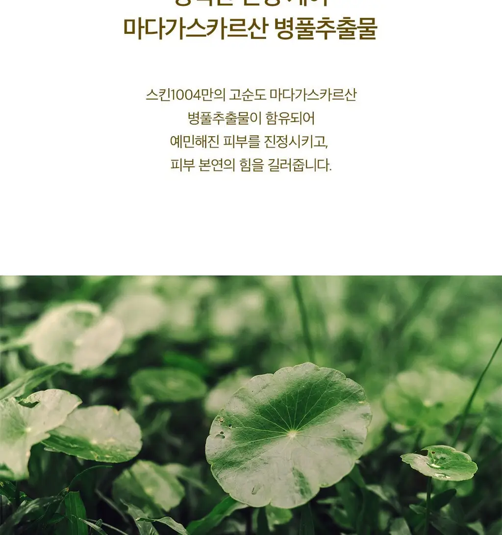 스킨1004 마다가스카르 센텔라 토닝토너 210ml 상세페이지 6
