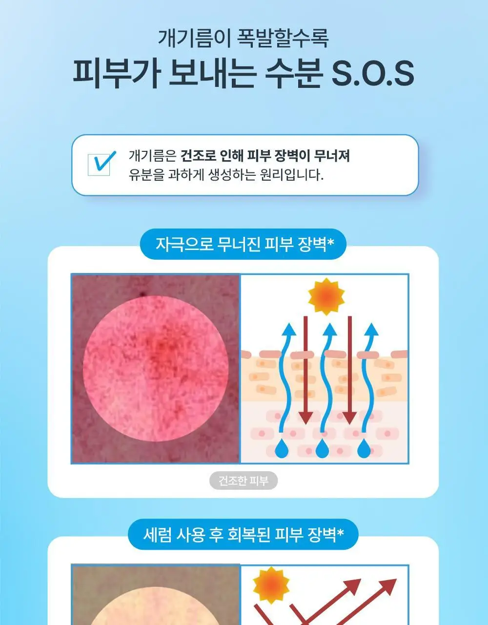 다슈 보이 파란 수분초 수분 세럼 65ml 기획 (+세럼 20ml) 상세페이지 11