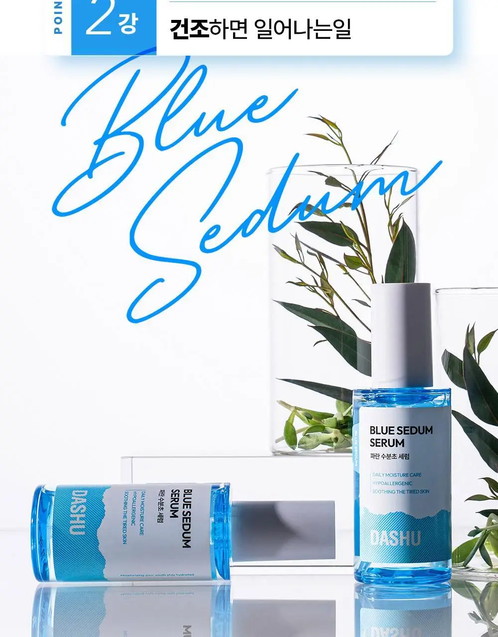 다슈 보이 파란 수분초 수분 세럼 65ml 기획 (+세럼 20ml) 상세페이지 13
