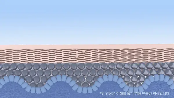 닥터멜락신 아쿠아 이온 플라즈마 수분 앰플 50ml 상세페이지 21