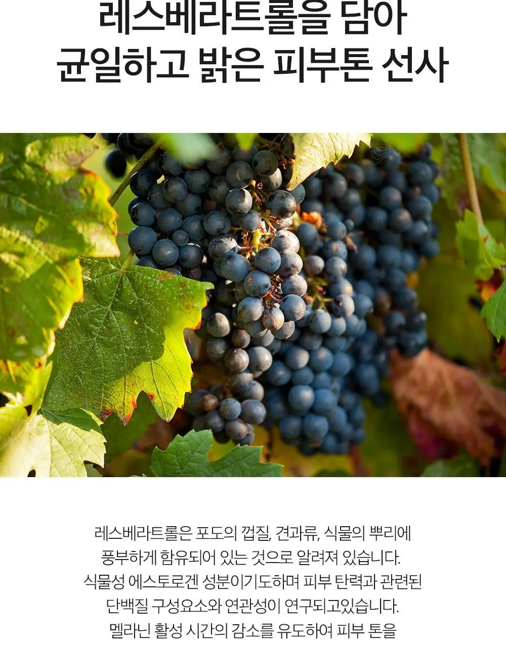 더마팩토리 NMN 1% 리뉴잉 세럼 30ml 상세페이지 14