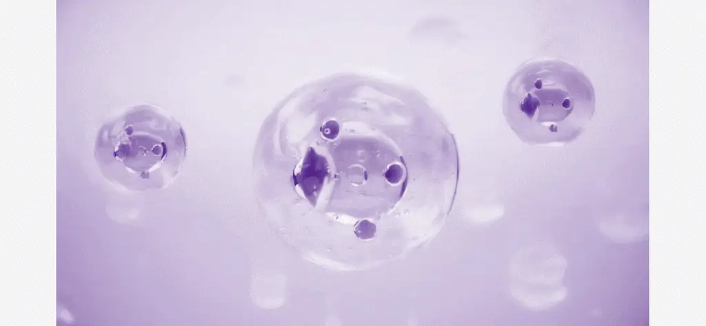 비노트 물톡스 부스터 앰플 30ml 상세페이지 19