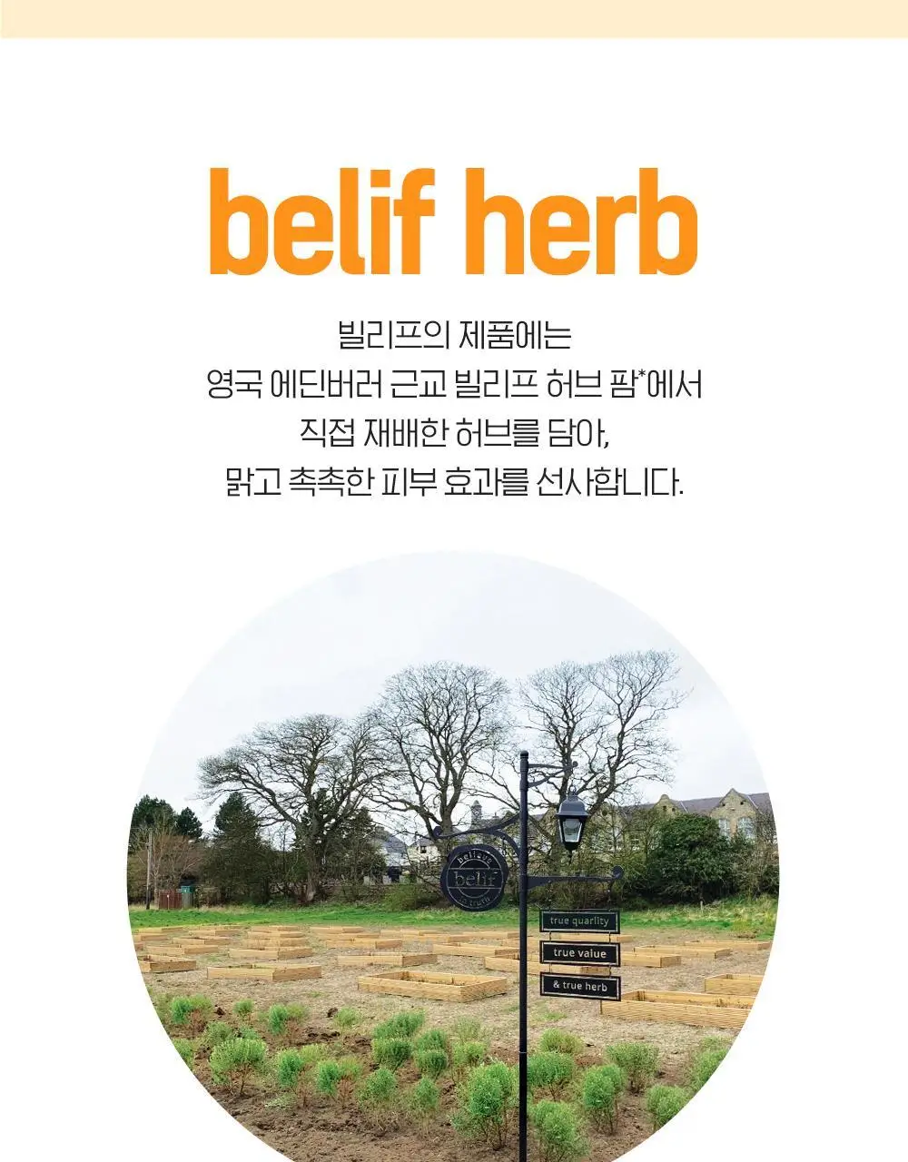 빌리프 슈퍼드랍스 글로우 세럼 50ml 상세페이지 28