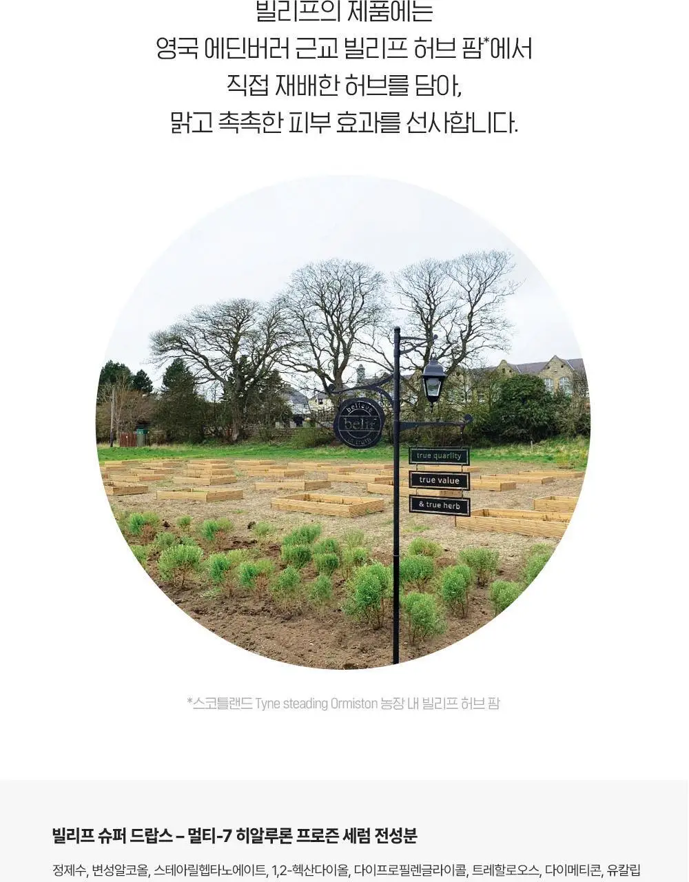 빌리프 슈퍼드랍스 멀티-7 히알루론 프로즌 세럼 3ml X 6개입 / 5ml X 9개입 상세페이지 27