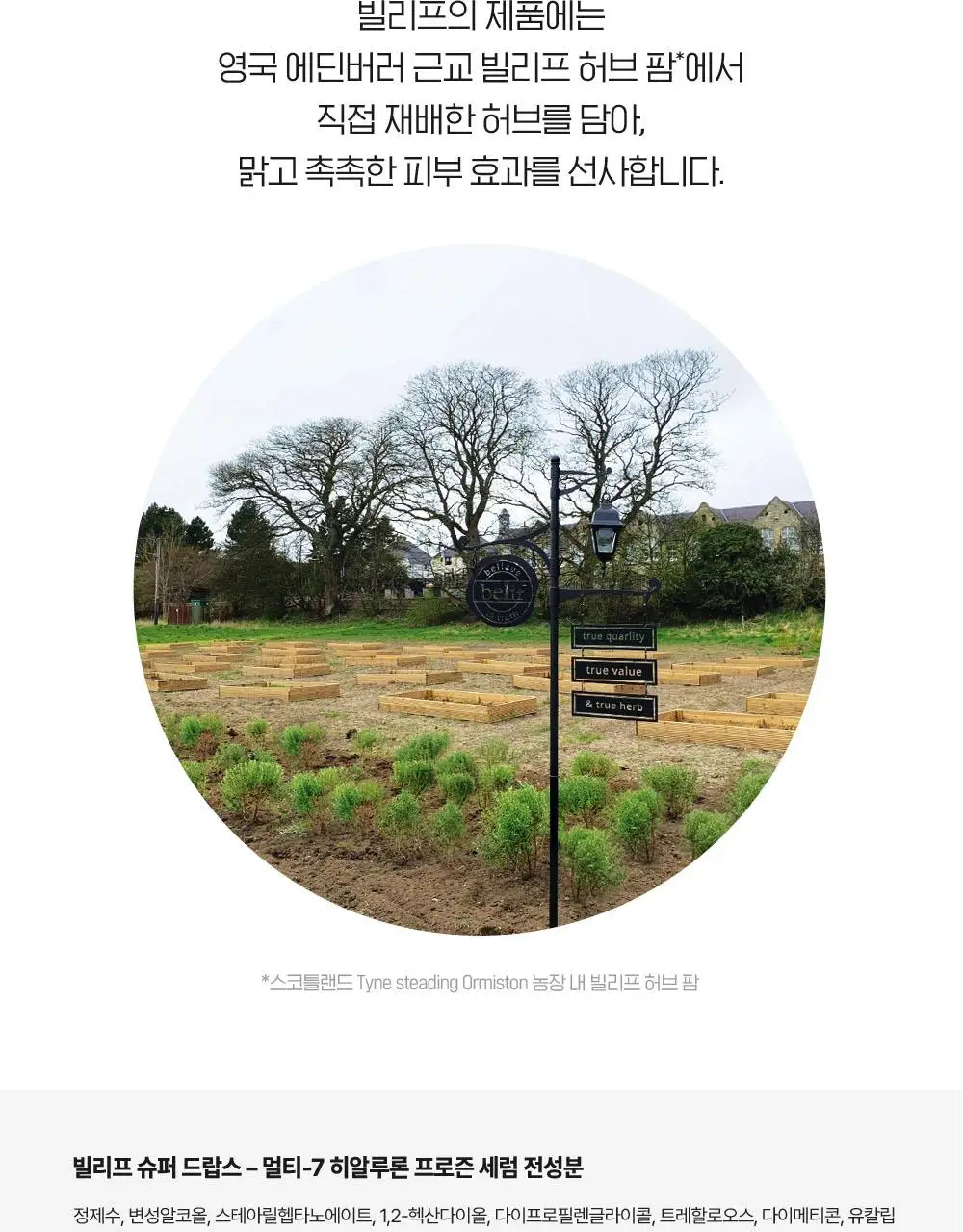 빌리프 슈퍼드랍스 멀티-7 히알루론 프로즌 세럼 3ml X 6개입 상세페이지 27