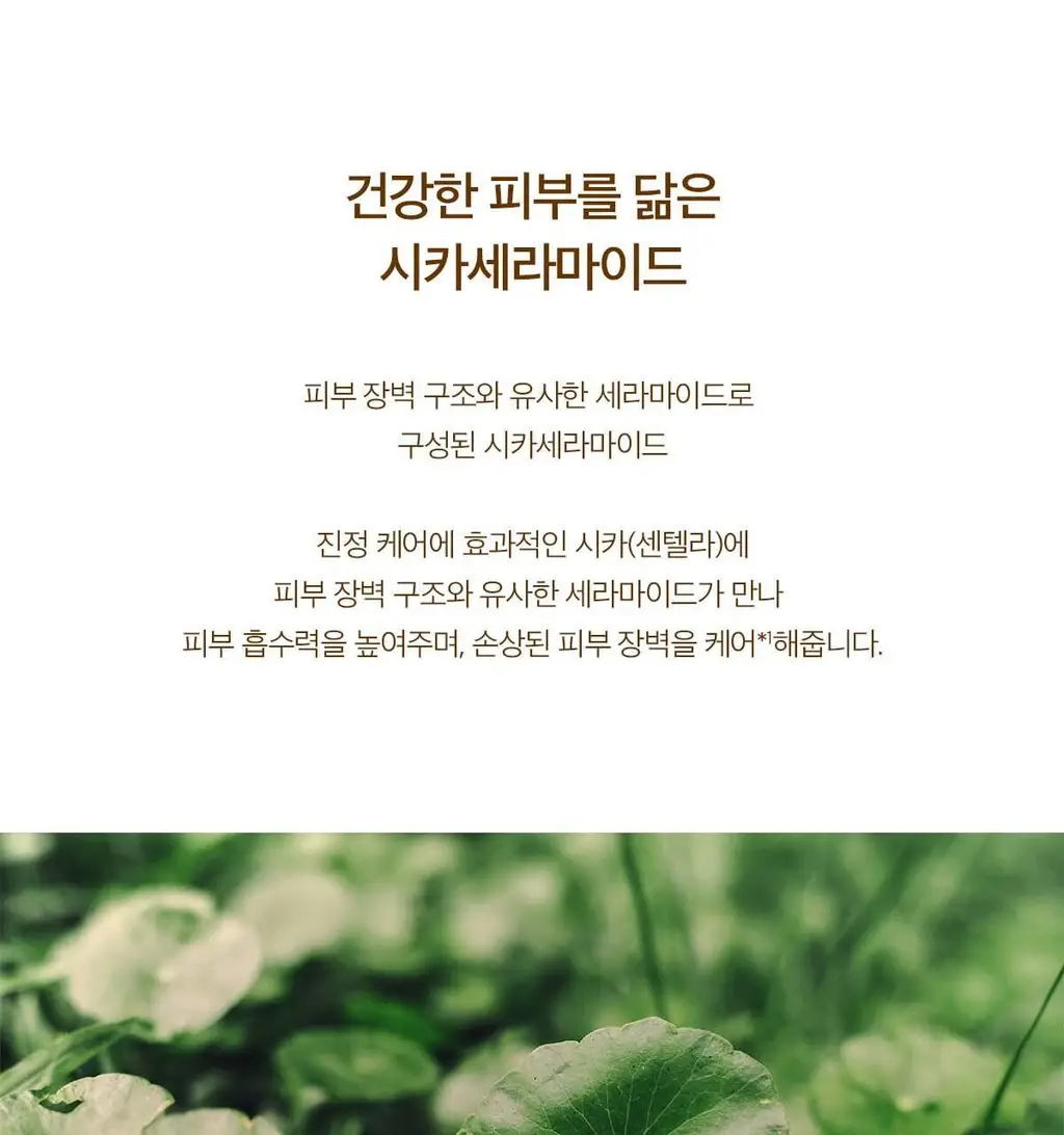 스킨1004 마다가스카르 센텔라 프로바이오시카 인텐시브 앰플 50ml 상세페이지 9