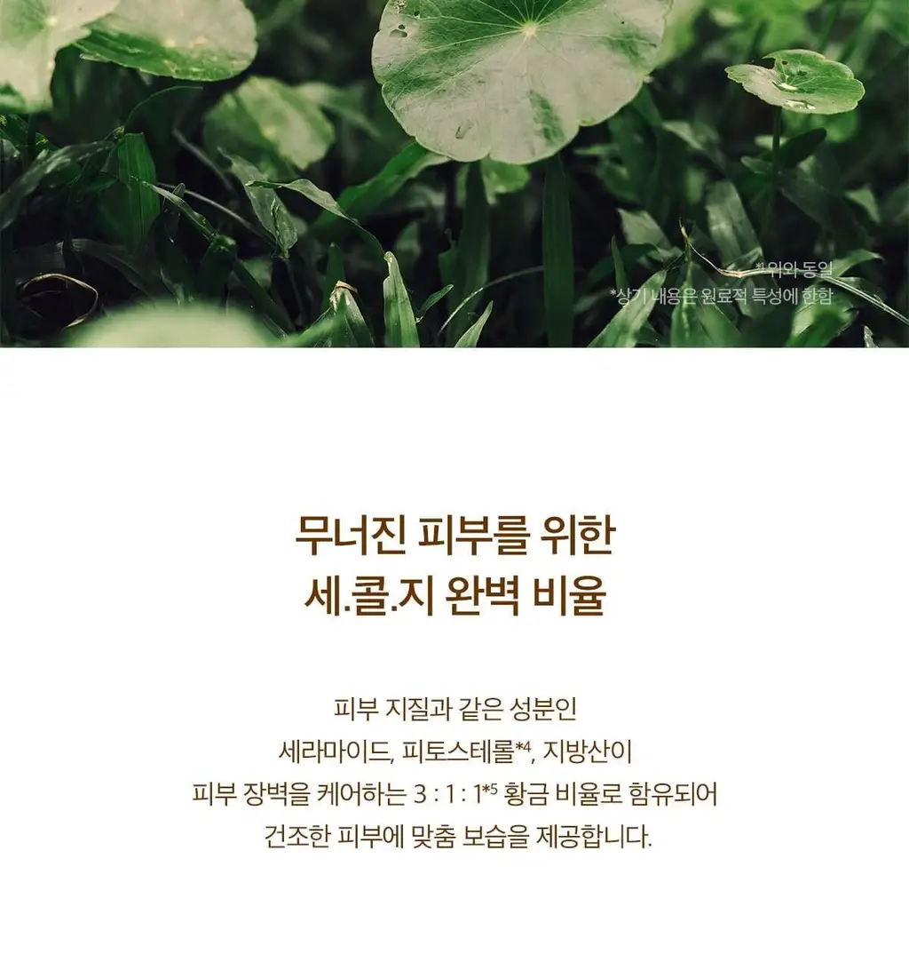 스킨1004 마다가스카르 센텔라 프로바이오시카 인텐시브 앰플 50ml 상세페이지 10