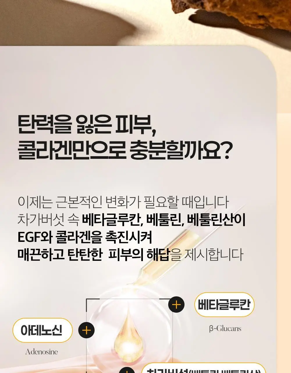 에필로우 차가버섯 비피다 바이옴 매끈결 모공 앰플 50ml 상세페이지 28