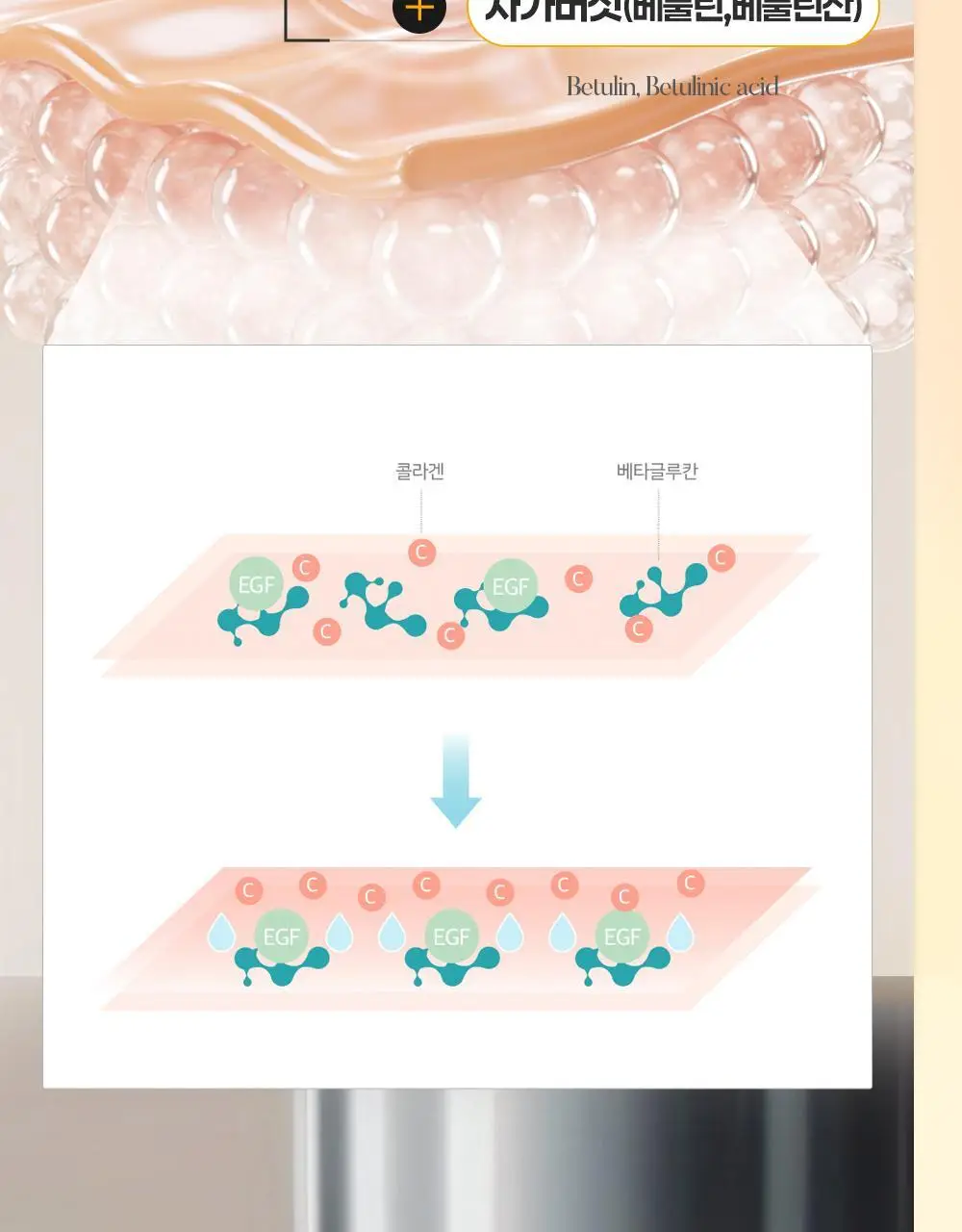 에필로우 차가버섯 비피다 바이옴 매끈결 모공 앰플 50ml 상세페이지 29