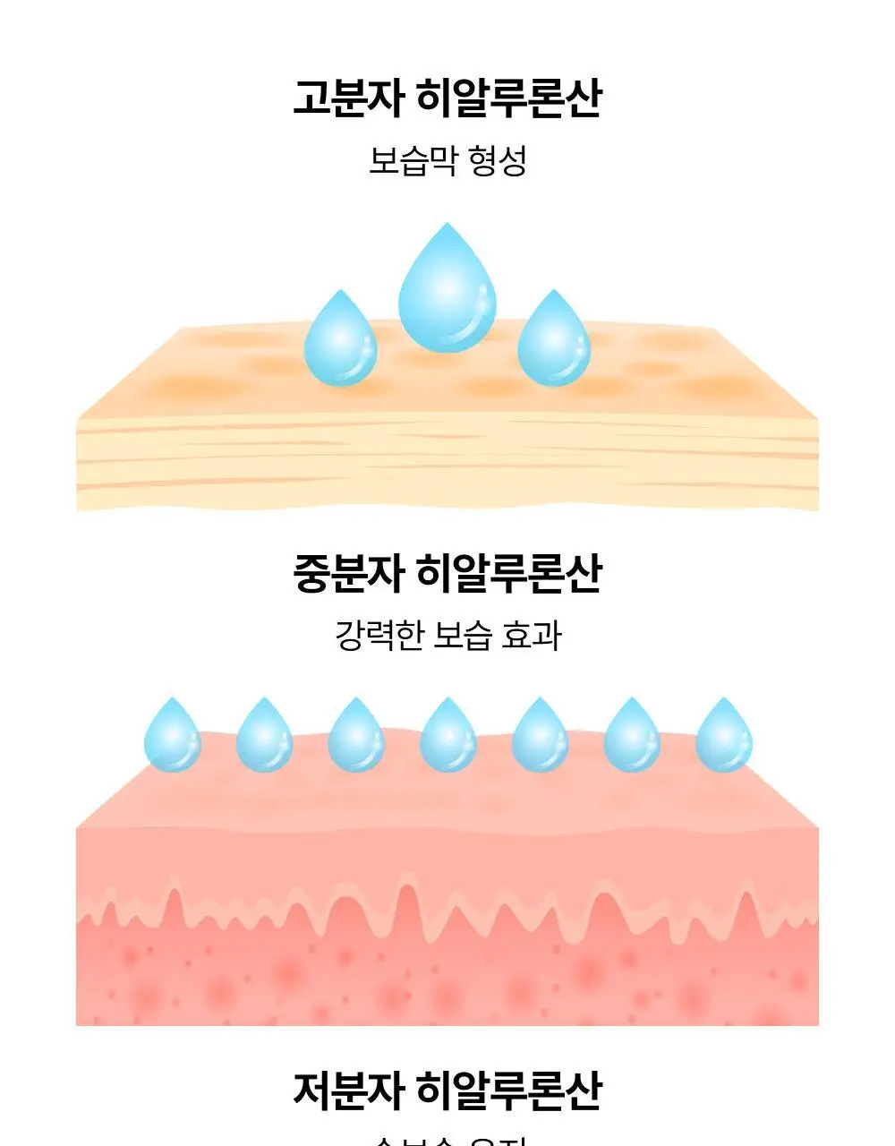 조선미녀 인삼스네일세럼 30ml 상세페이지 12