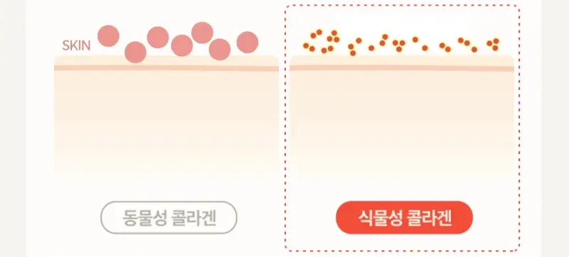 클라뷰 리얼 비건 저분자 콜라겐 탄력 앰플 30ml 상세페이지 6