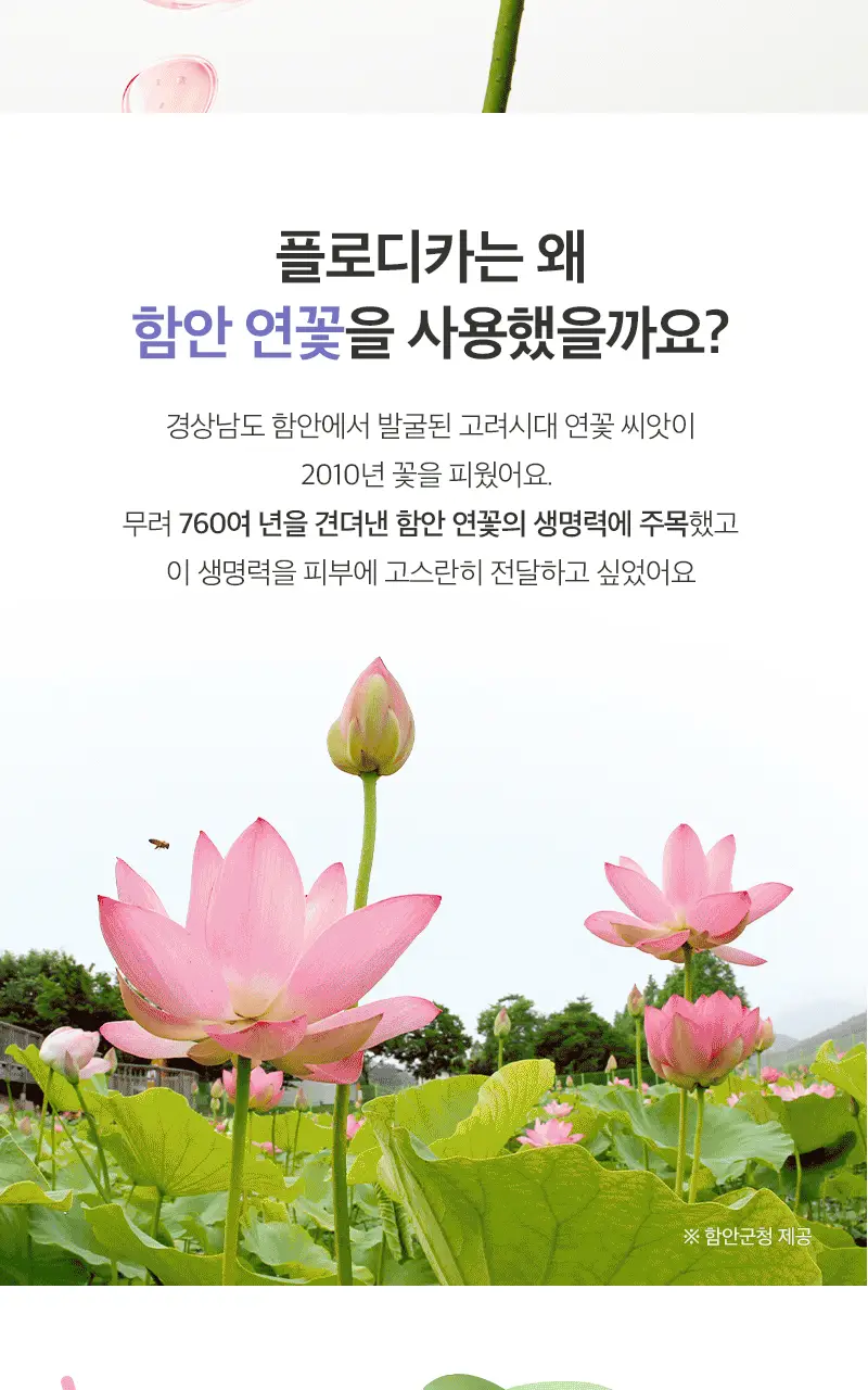 플로디카 인투더 워터홀 앰플 50ml 상세페이지 29