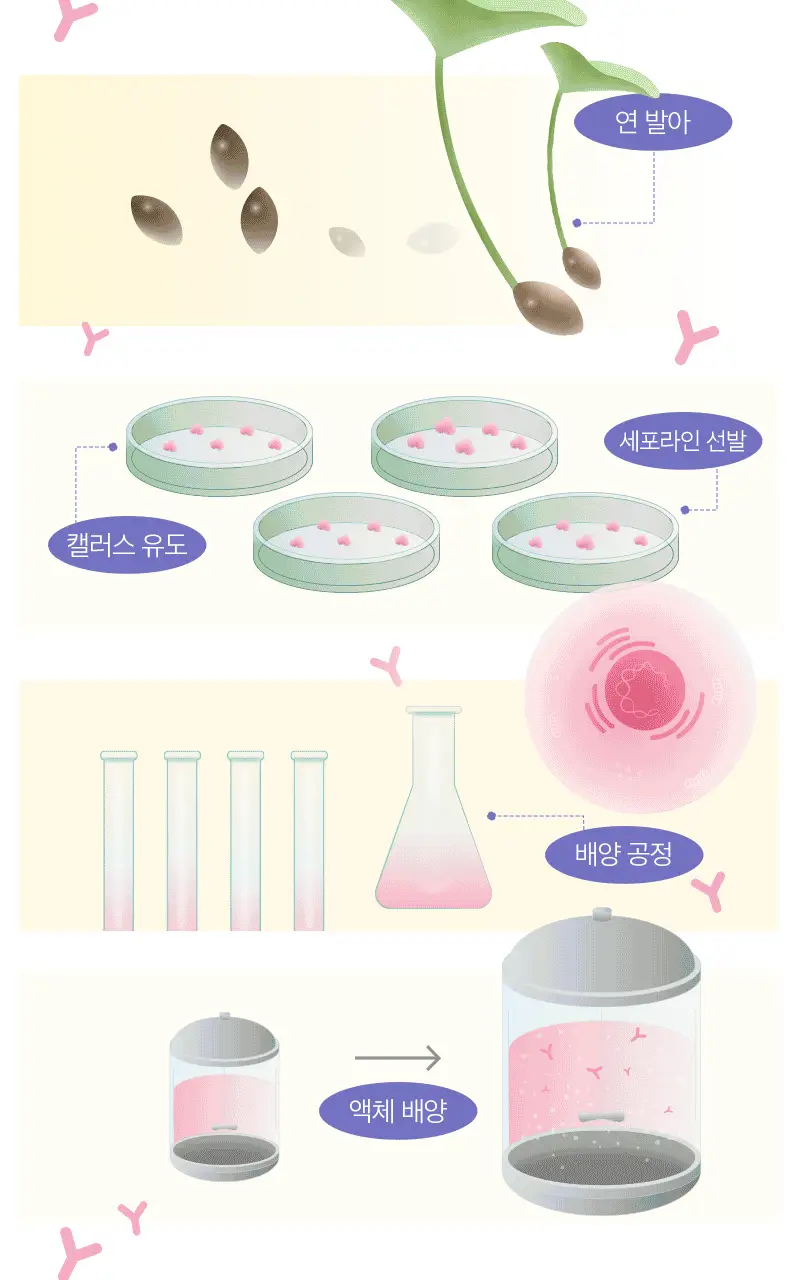 플로디카 인투더 워터홀 앰플 50ml 상세페이지 30