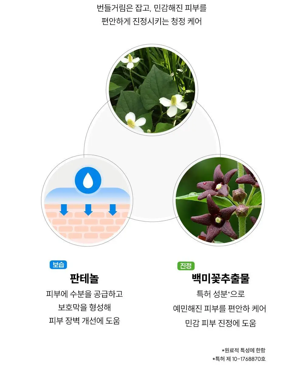 헤이네이처 어성초 앰플 40ml 상세페이지 19