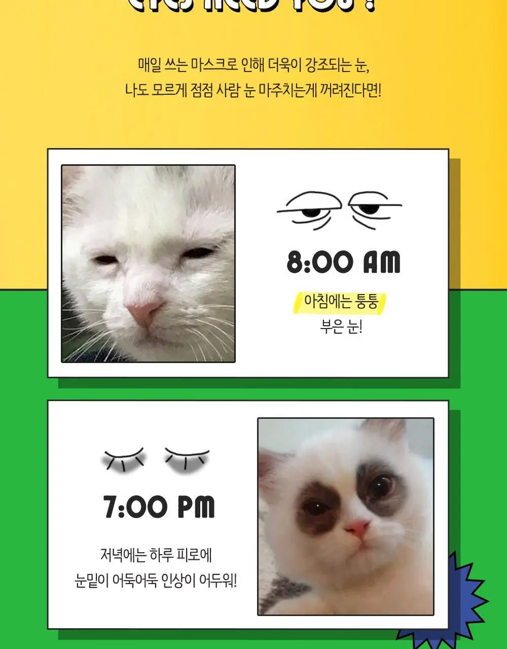 체이싱래빗 버니 라인 스무더 15ml (괄사아이크림) 상세페이지 9