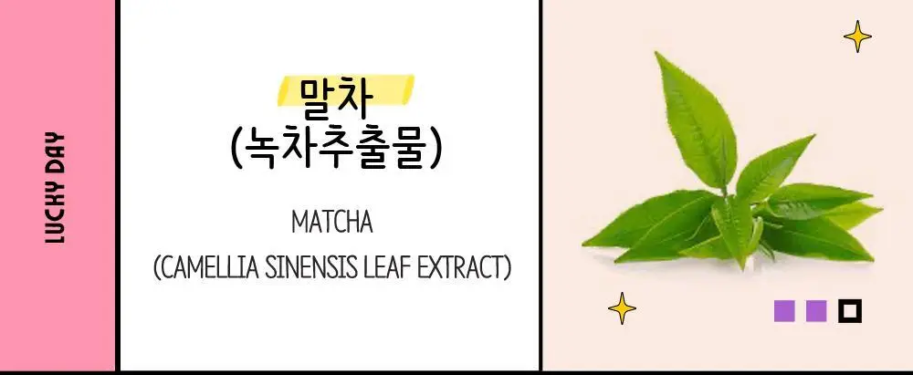 체이싱래빗 버니 라인 스무더 15ml (괄사아이크림) 상세페이지 17