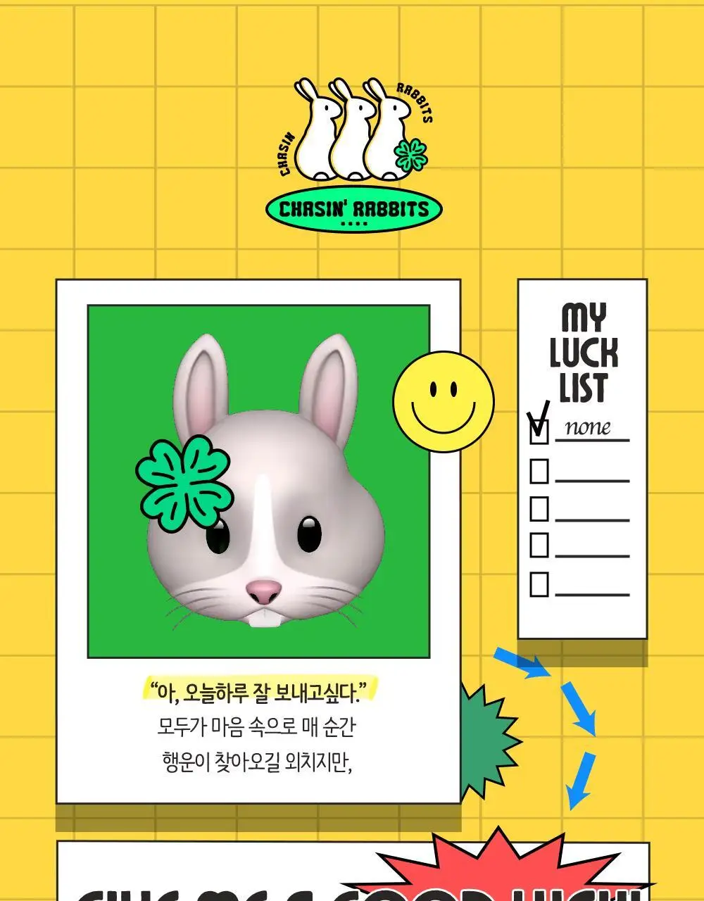 체이싱래빗 버니 라인 스무더 15ml (괄사아이크림) 상세페이지 27