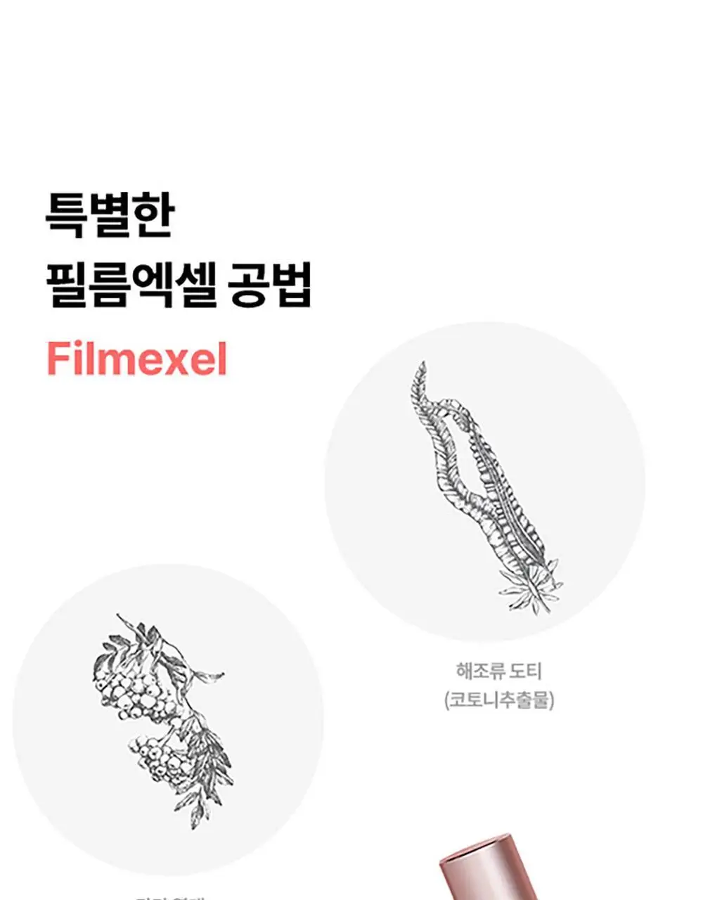 가히 멀티밤 리필키트 9g 상세페이지 53