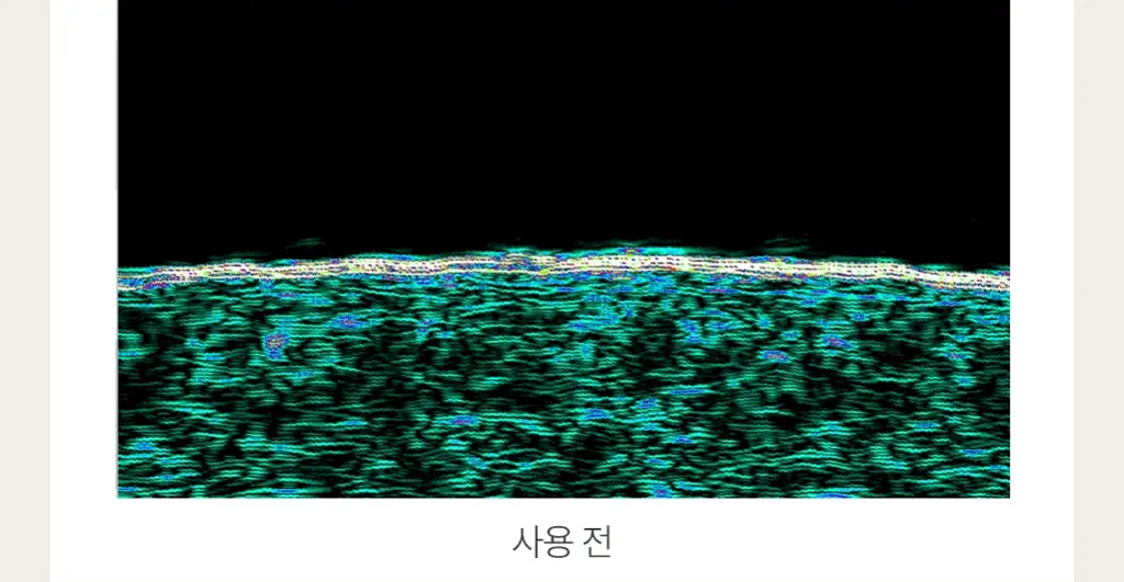 닥터하우쉬카 로즈 데이 크림 오리지널 30ml 상세페이지 12
