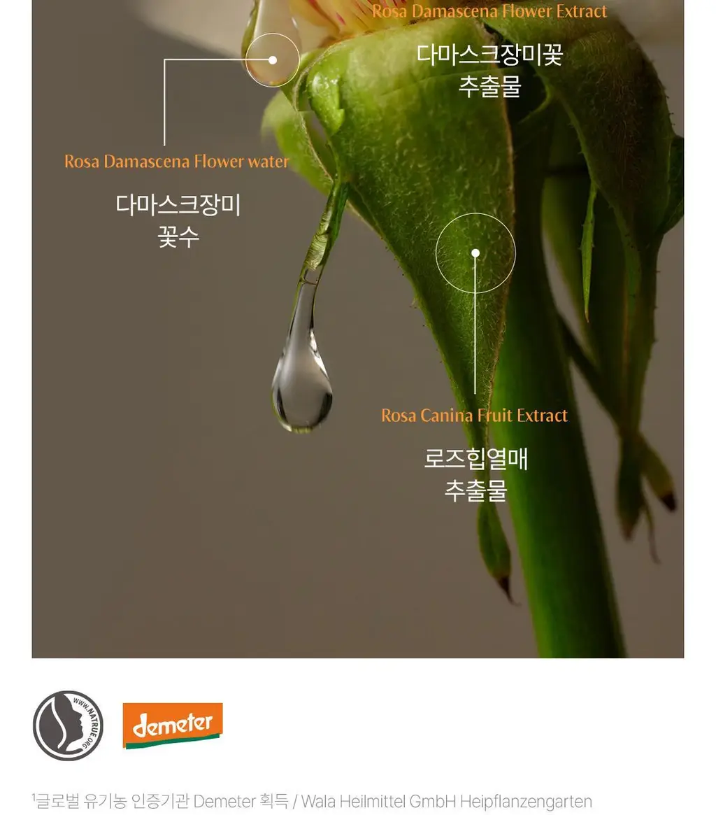 닥터하우쉬카 로즈 데이 크림 오리지널 30ml 상세페이지 38