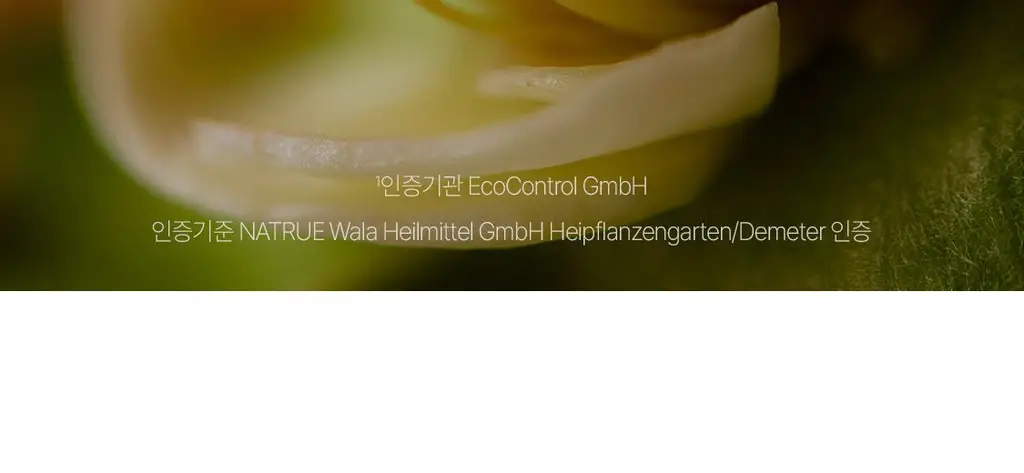 닥터하우쉬카 로즈 데이 크림 오리지널 30ml 상세페이지 47
