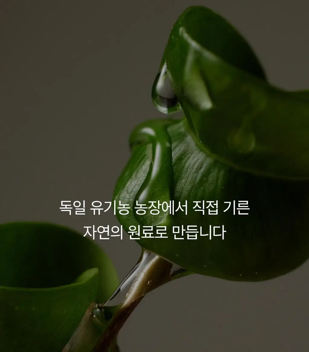 닥터하우쉬카 로즈 데이 크림 오리지널 30ml 상세페이지 58