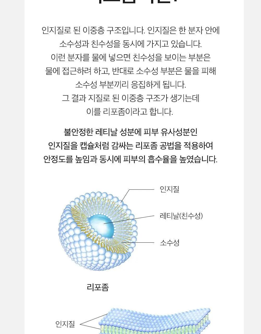 더마팩토리 레티날 300ppm크림 30ml 상세페이지 10