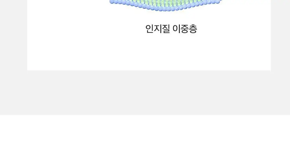 더마팩토리 레티날 300ppm크림 30ml 상세페이지 11