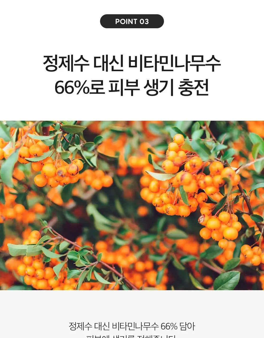 더마팩토리 트라넥삼산 6% 크림 30ml 상세페이지 13