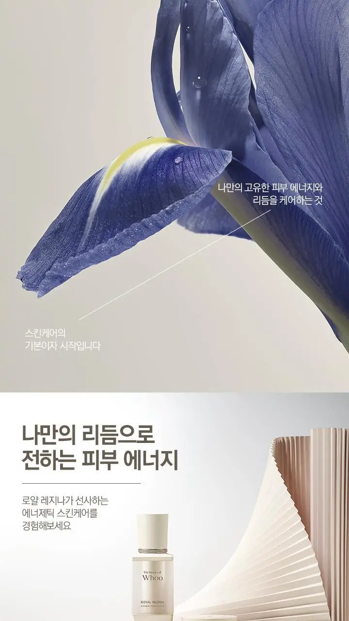더후 로얄레지나 에너제틱 리차징 크림 50ml 상세페이지 1