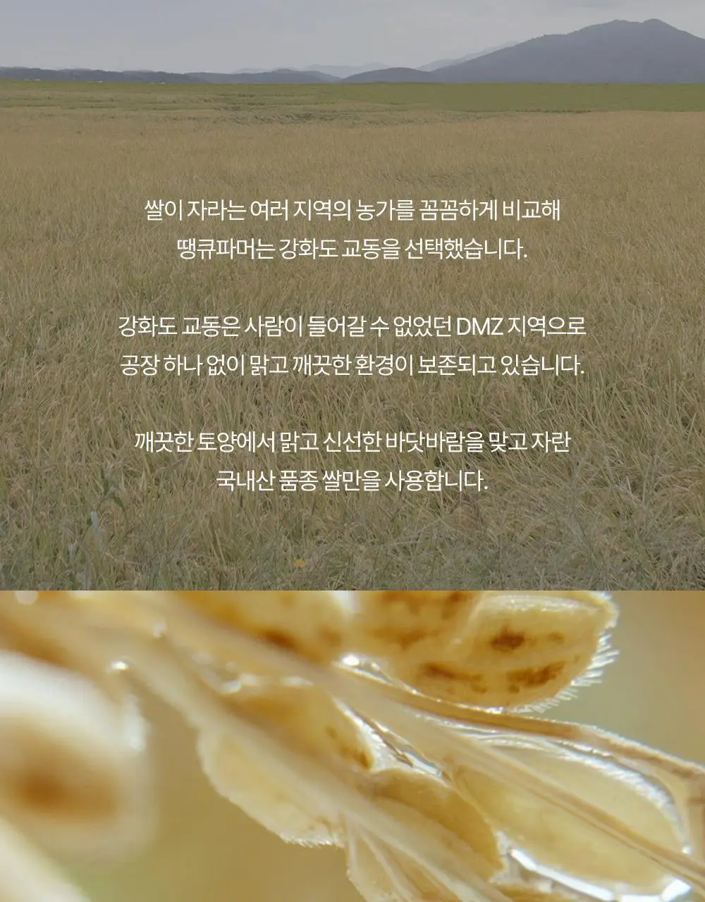 땡큐파머 강화교동쌀 맑음 젤안에 크림80ml 상세페이지 14