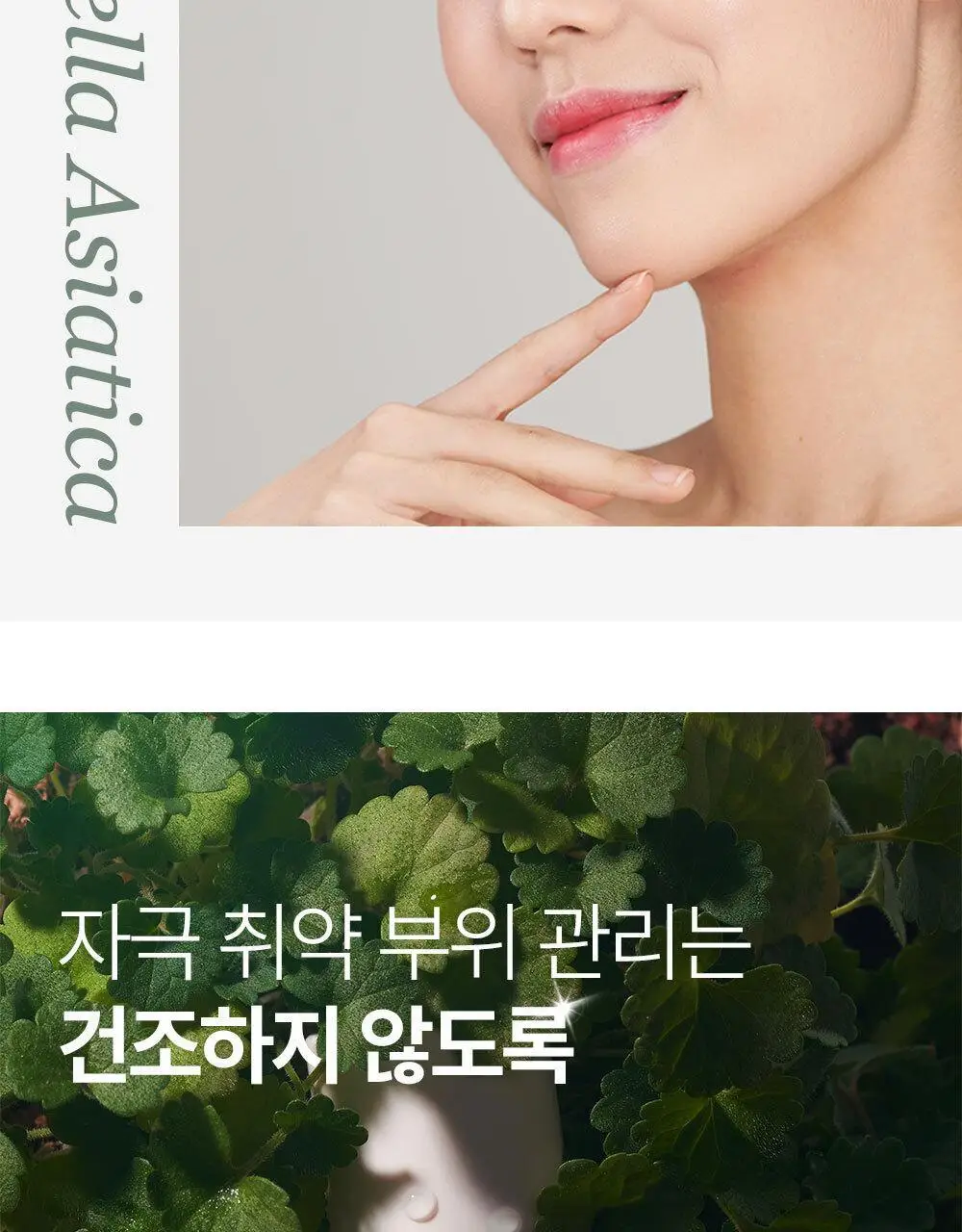 믹순 병풀 스틱 밤 11.5ml 상세페이지 5
