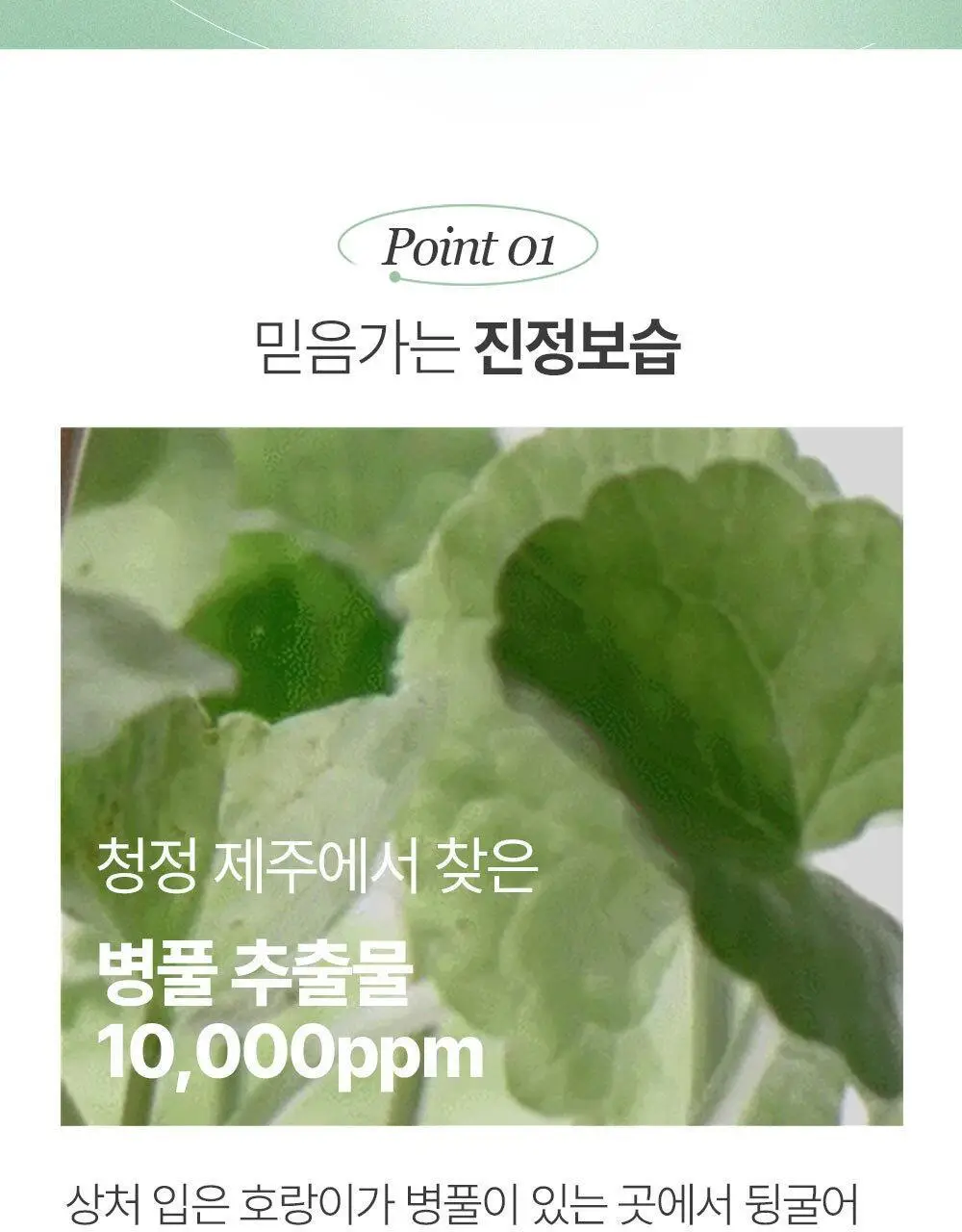 믹순 병풀 스틱 밤 11.5ml 상세페이지 7