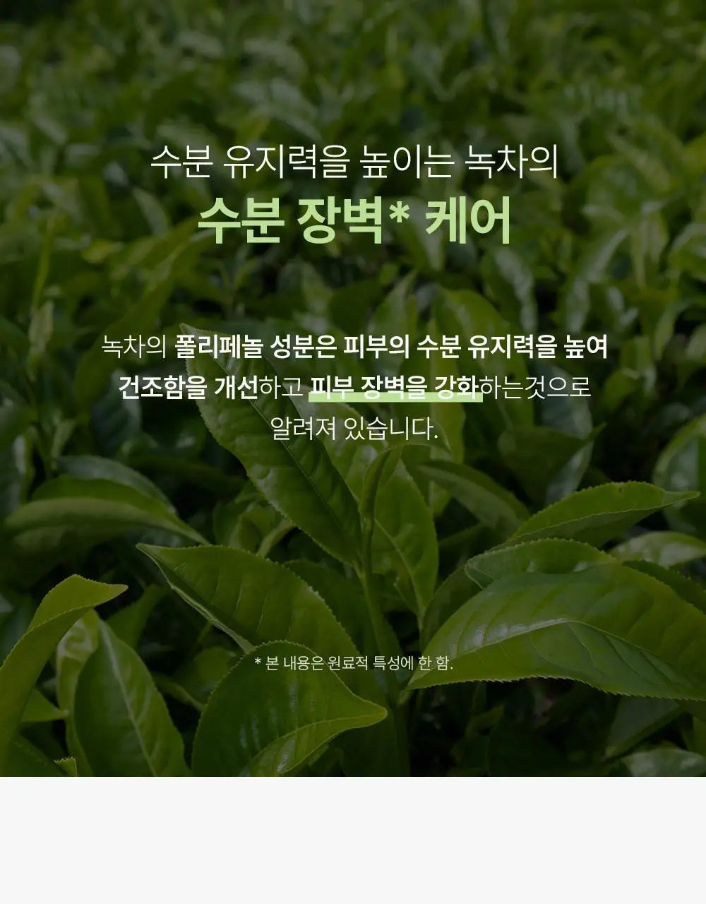 보나쥬르 비건 그린티 워터크림 100ml 상세페이지 8