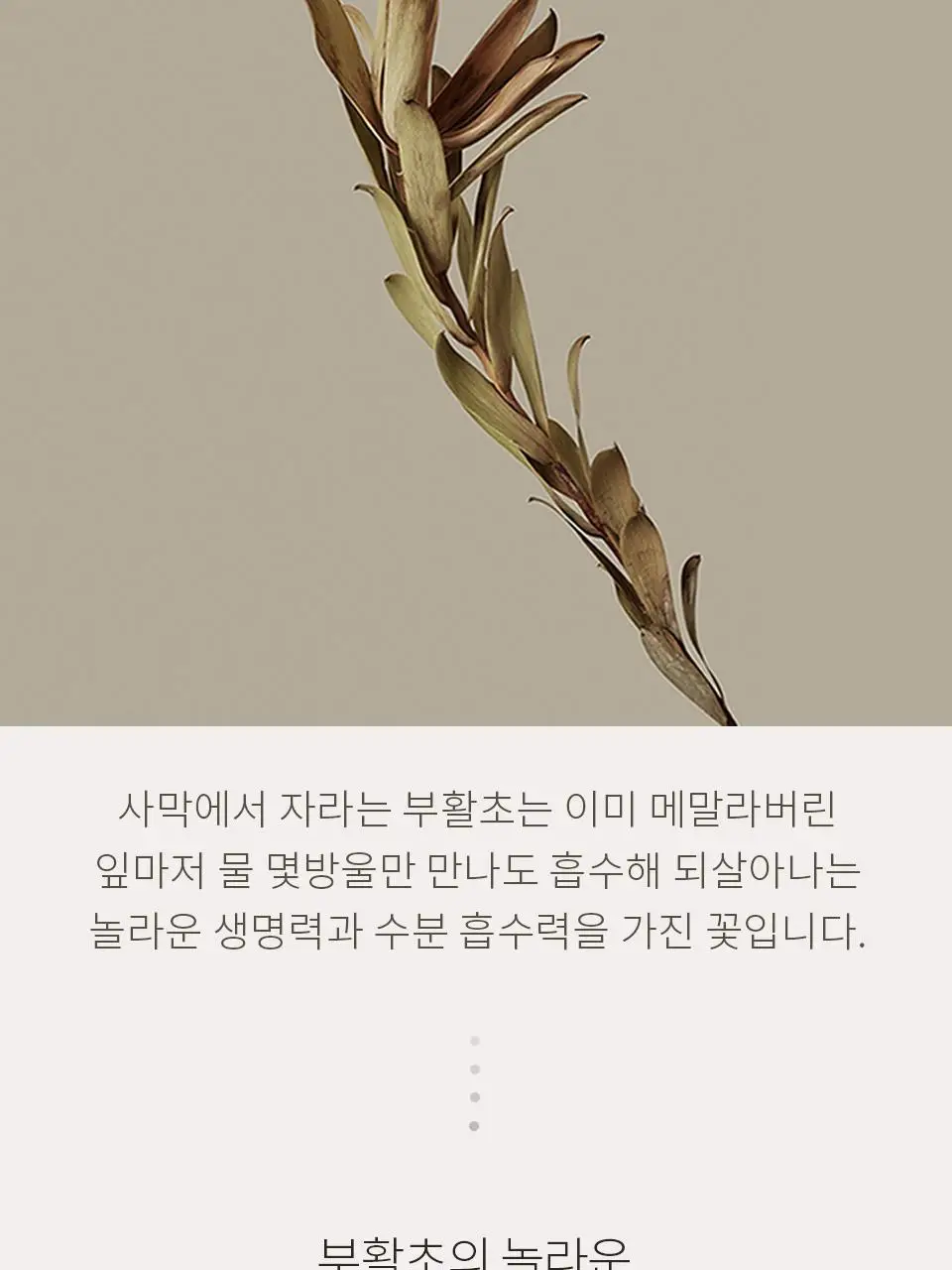 소본 그린 시카 더마 리페어 크림 40ml 상세페이지 5