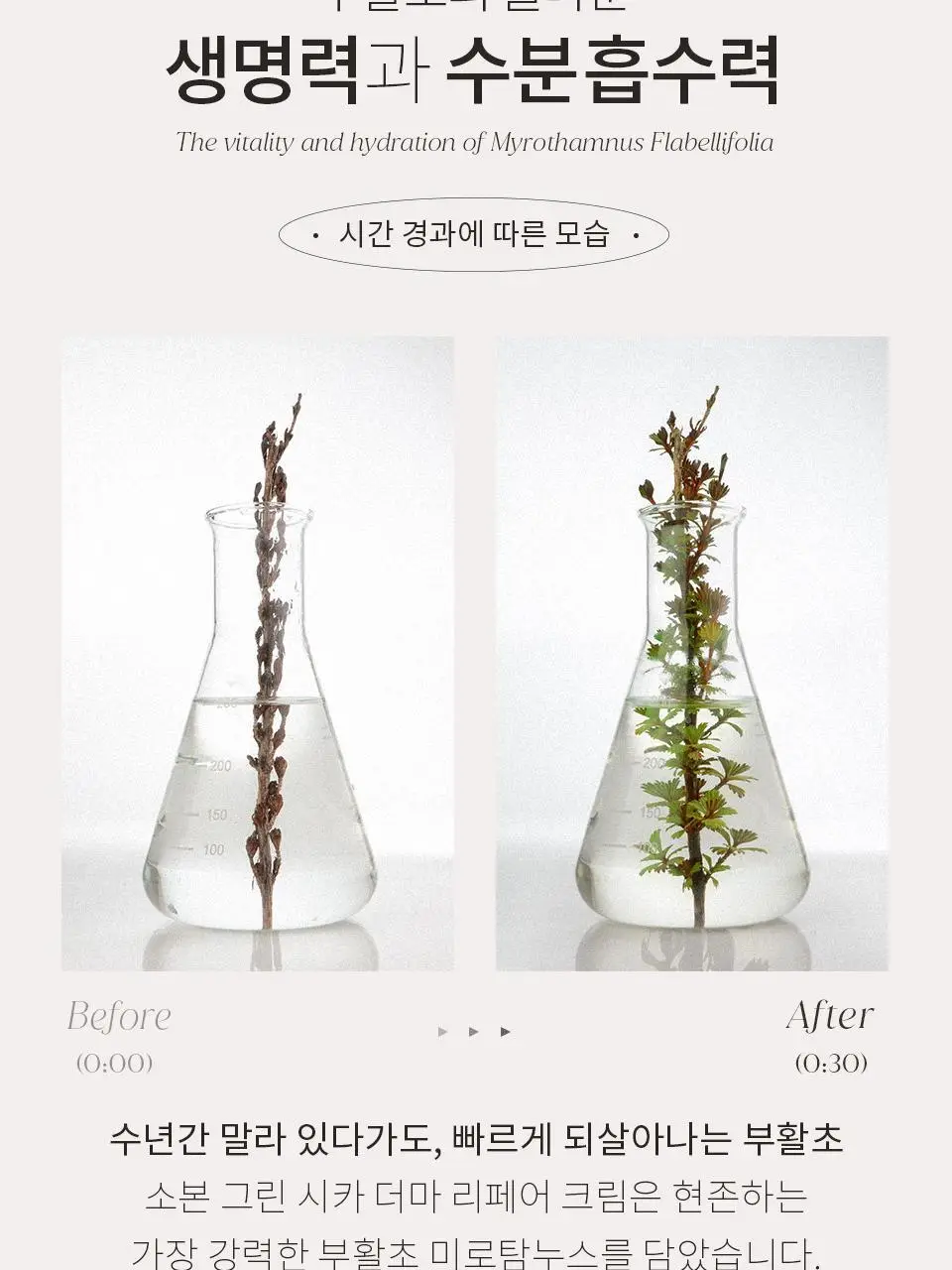 소본 그린 시카 더마 리페어 크림 40ml 상세페이지 6