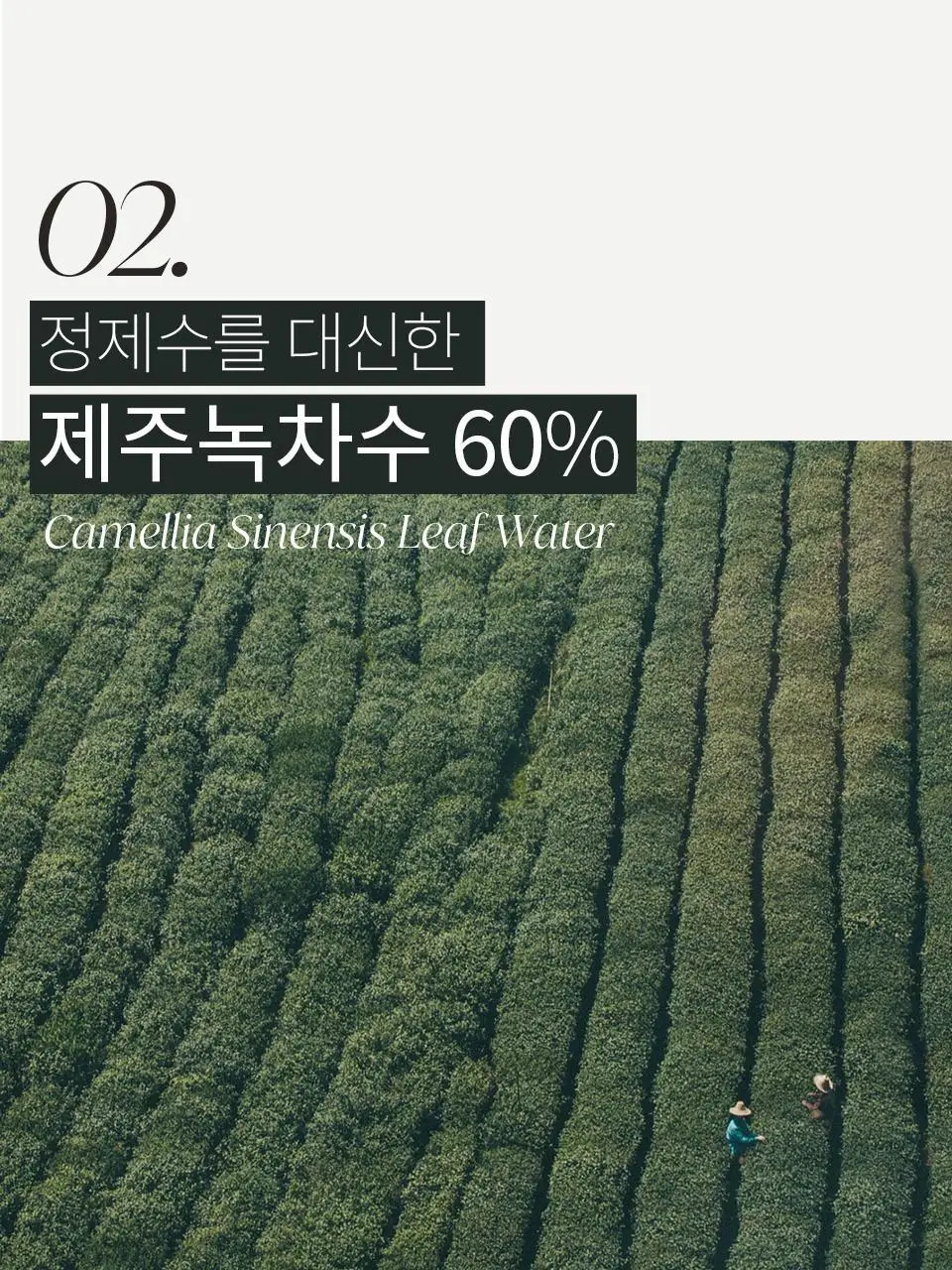 소본 그린 시카 더마 리페어 크림 40ml 상세페이지 9