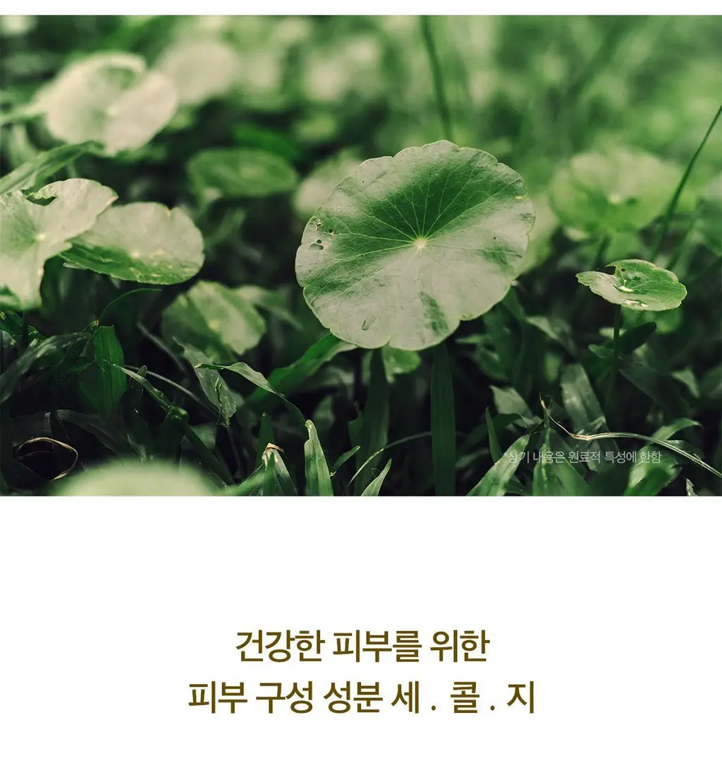스킨1004 마다가스카르 센텔라 수딩 크림 75ml 상세페이지 5
