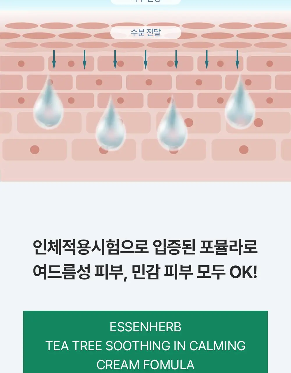 에센허브 티트리 수딩 인 카밍 크림 80ml 기획(+크림 30ml) 상세페이지 27