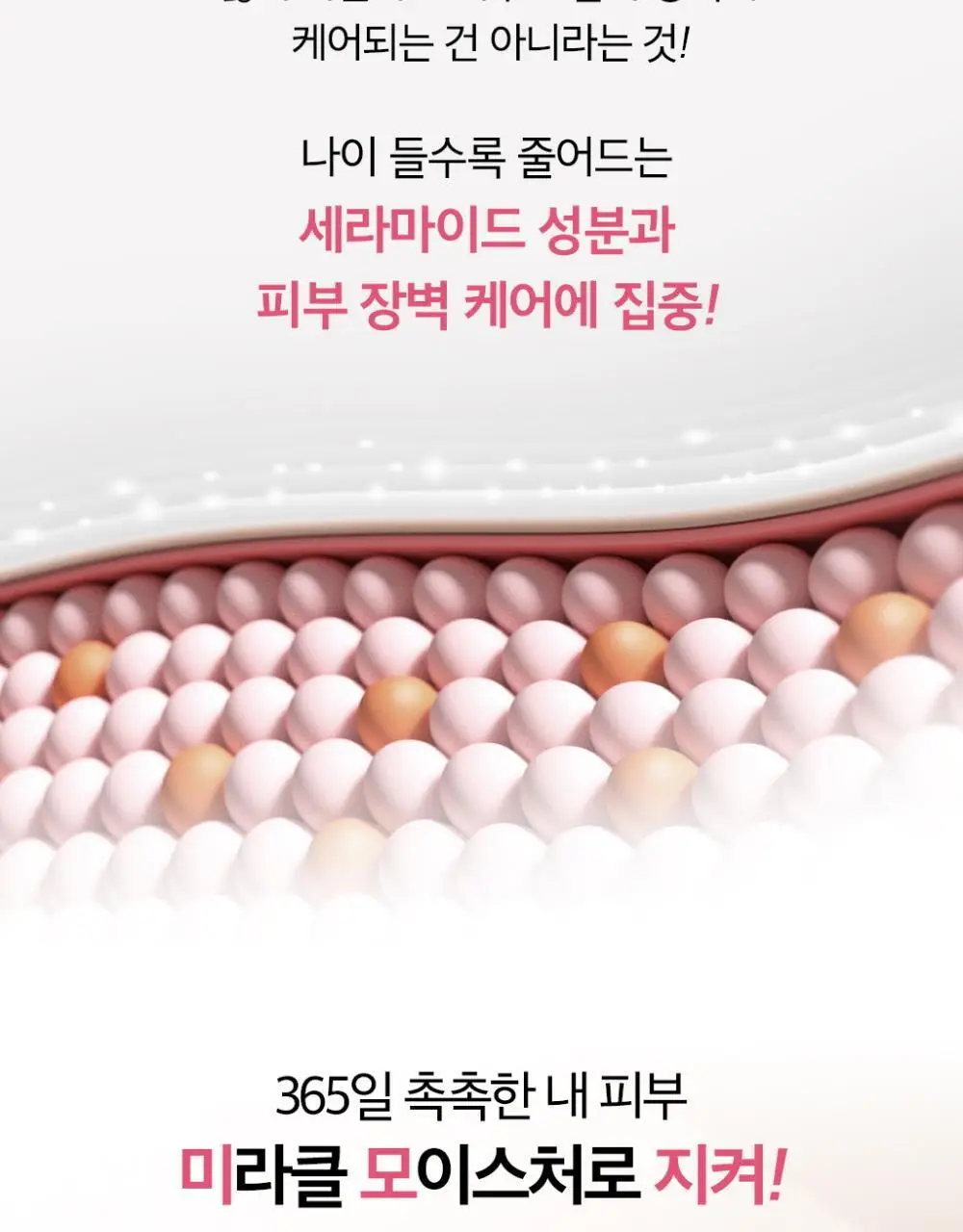 오휘 미라클 모이스처 세라마이드 부스팅 크림 50ml 상세페이지 4